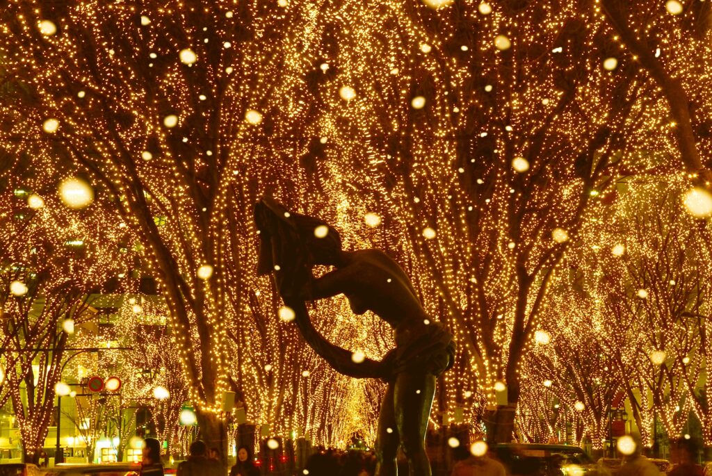 SENDAI光のページェント 定禅寺通のケヤキ並木ライトアップ