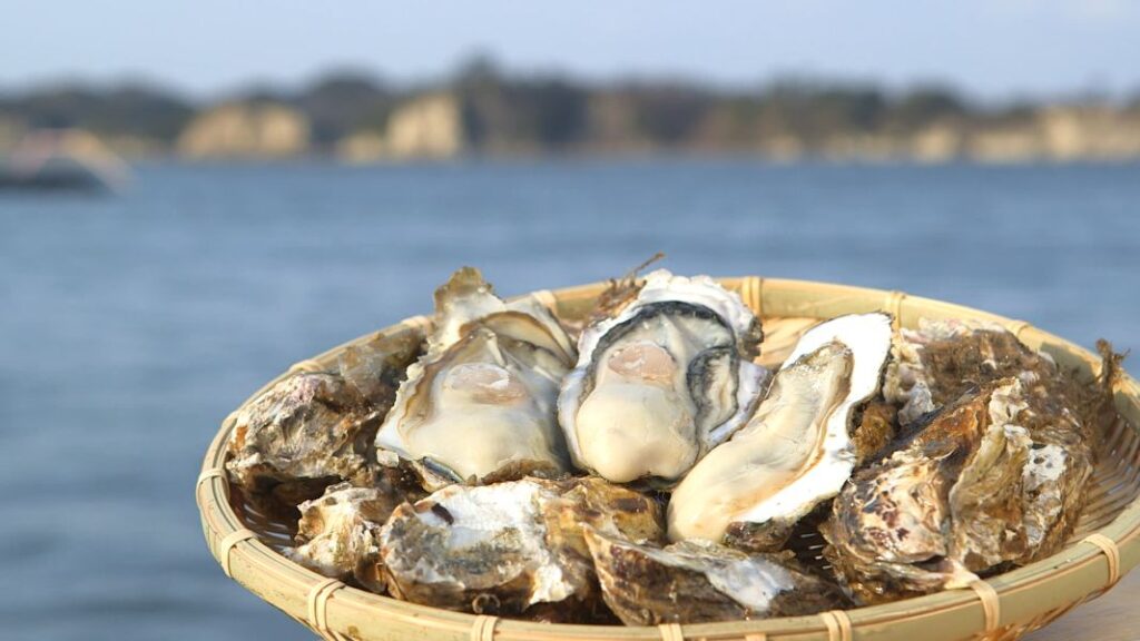 松島産の真牡蠣を蒸し焼きにした一皿（宮城県観光戦略課提供）