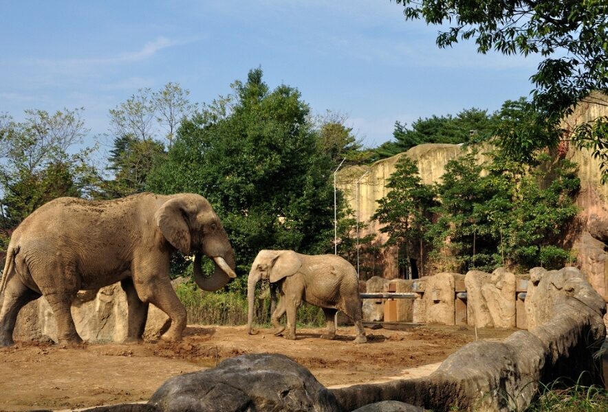 八木山動物公園フジサキの杜の園内の様子（写真提供：宮城県観光戦略課）