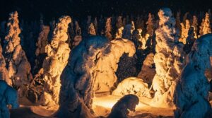 ライトアップされた蔵王の樹氷の近景イメージ（光で凹凸が強調されている様子）