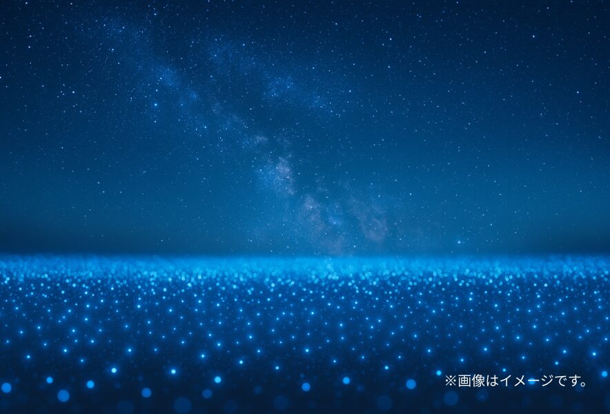 やくらいガーデン 青のエリアの地表イルミネーション(2025年・星あかり)